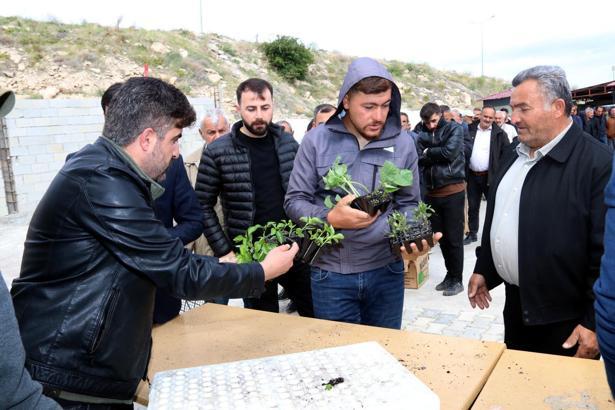 Edremit Belediyesi'nden ücretsiz sebze fidesi desteği