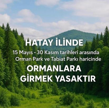 Hatay’da ormanlara girişler yasaklandı