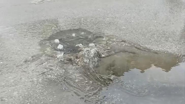 Bakanlıktan Çınarcık Belediyesi'ne 1,3 milyon TL ceza