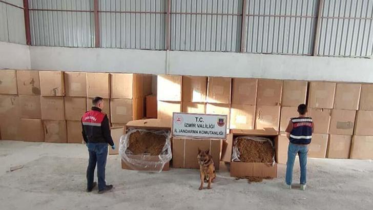 İzmir'de 6 ton kaçak tütün ele geçirildi