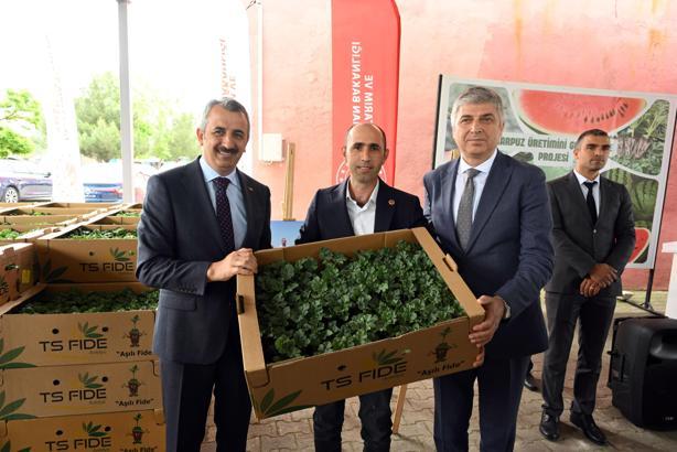 Edirne'de üreticilere, 66 bin karpuz fidesi dağıtıldı