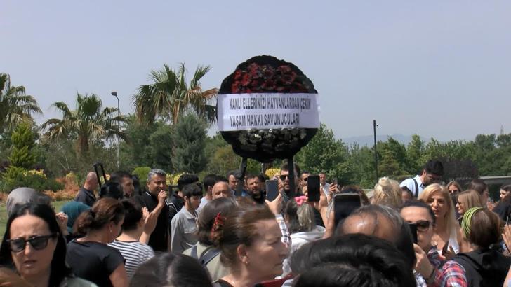 Barınakta hayvanların uyutulduğu iddialarına hayvanseverlerden siyah çelenkli tepki