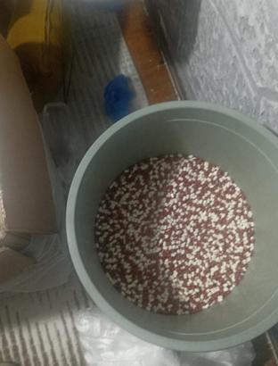 'Torbacının' zula evindeki çöp kovasında 46 bin 260 adet sentetik ecza maddesi ele geçirildi