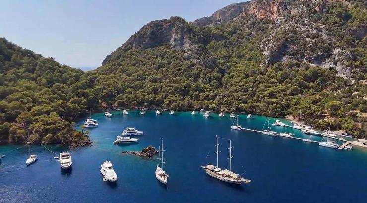 Kaplumbağalar için müzik yasağı