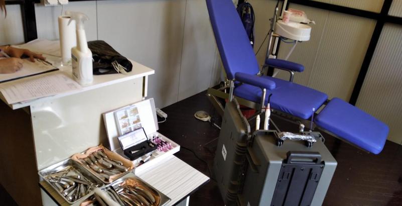 Diş tedavisi yapıldığı belirlenen konteyner mühürlendi