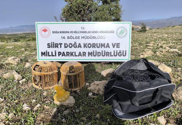 Siirt’te, kaçak keklik avlayan kişiye 63 bin 91 TL ceza