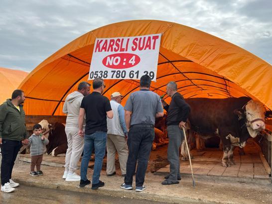 Ankara'da kurban pazarlarında yoğunluk