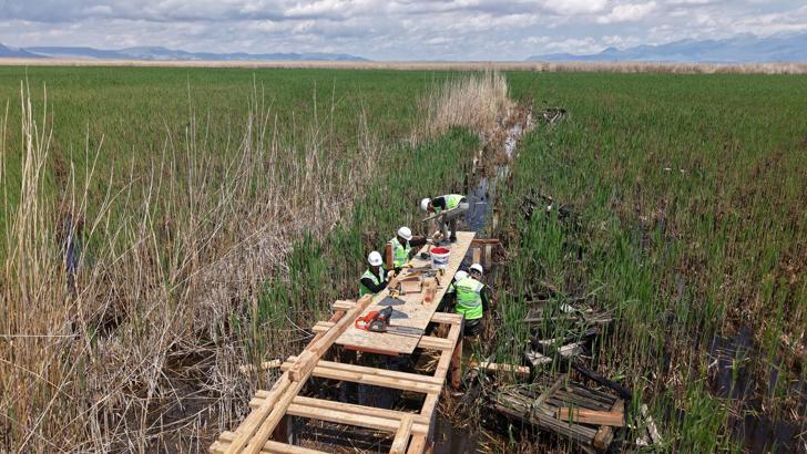 Sultan Sazlığı'nda yürüyüş yolu çalışmaları sürüyor