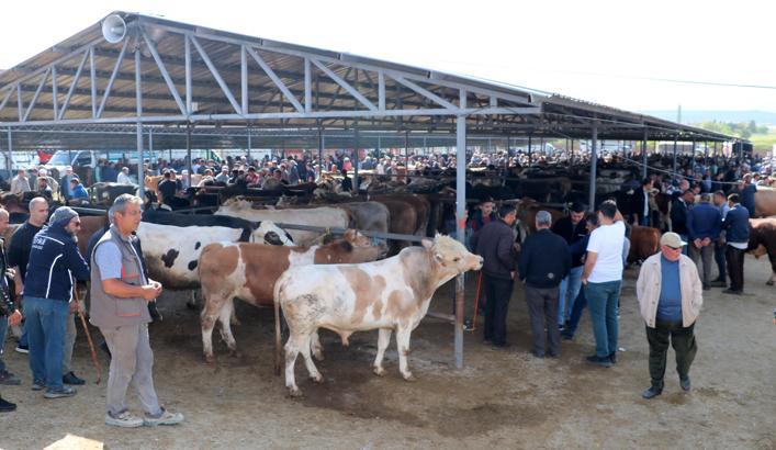 Sandıklı hayvan pazarında kurbanlık yoğunluğu