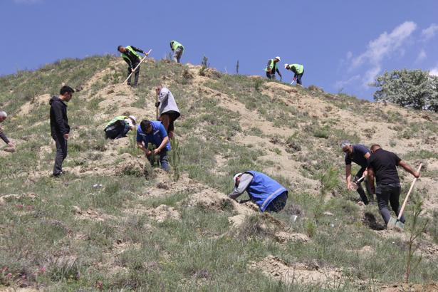 Sivas'ta bu yıl hayatını kaybeden 535 kişi anısına fidan dikildi