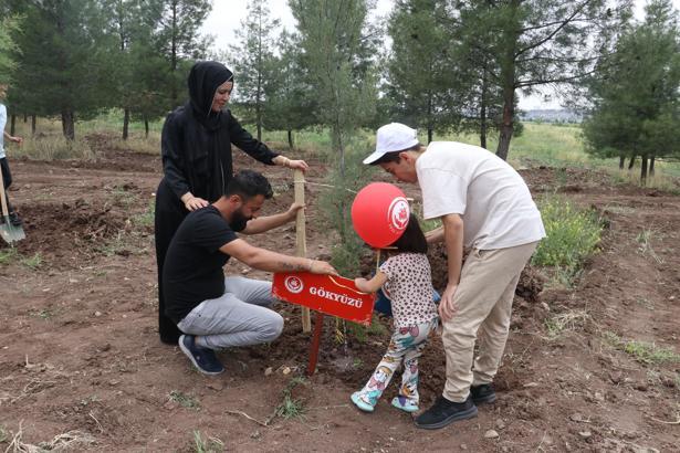 Diyarbakır'da 'Koruyucu Aile Hatıra ormanı'