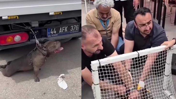 Malatya'da pitbull cinsi köpeğin saldırısına uğrayan kadın yaralandı