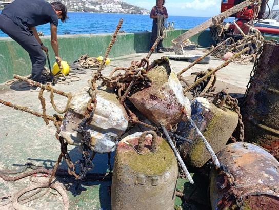 Bodrum’da denizden 50 ton katık çıkartıldı