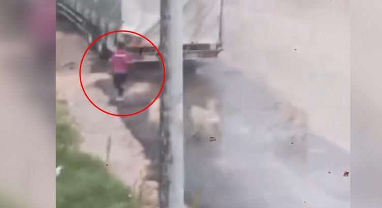 Başıboş köpeklerin çocuğu kovaladığı anlar kamerada