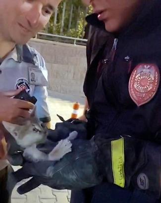 Otomobilin motor bölümüne giren yavru kedi 4 saatte kurtarıldı