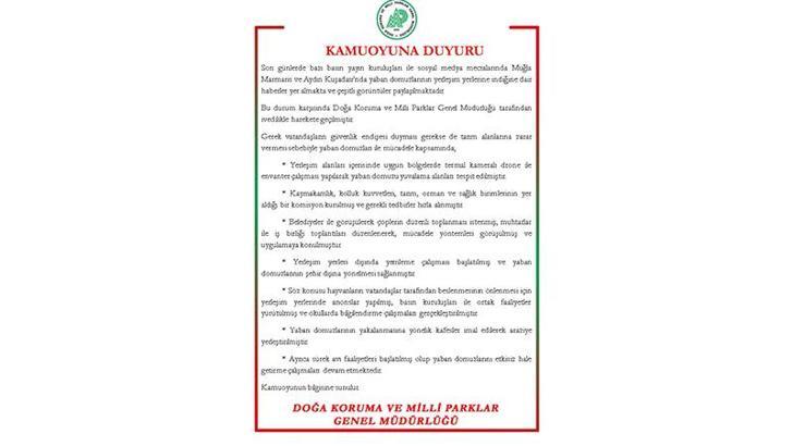 DKMP'den 'yaban domuzu' açıklaması