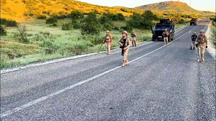 Diyarbakır'da 7 milyon 543 bin kök kenevir ve skunk ele geçirildi: 8 gözaltı