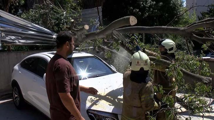 Kadıköy’de inşaat alanındaki ağaç otomobilin üstüne devrildi