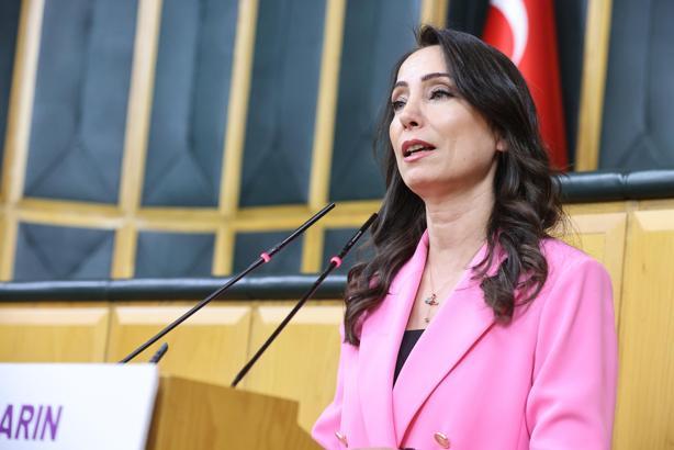 DEM Parti'li Hatimoğulları: Yeni sürecin çözüm adresi Meclis'tir