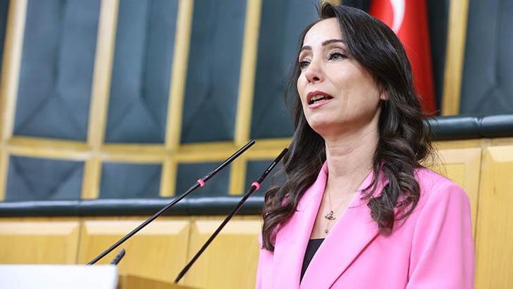 DEM Parti'li Hatimoğulları: Yeni sürecin çözüm adresi Meclis'tir