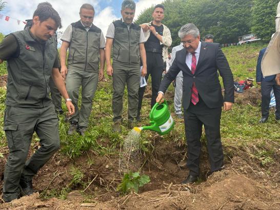 Koruyucu aileler adına hatıra ormanı