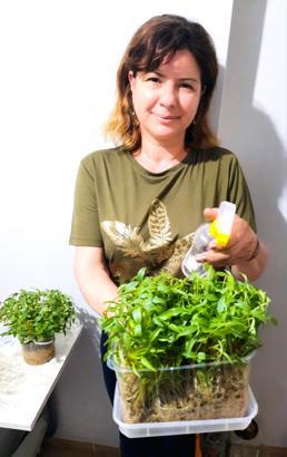 Heykeller yeşerecek