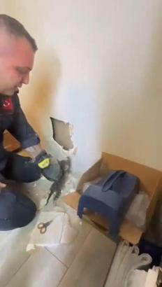 Duvarın içinde sıkışan 2 yavru kediyi itfaiye kurtardı