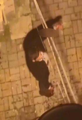 İstanbul - Şişli'de sevgilisinin kendisini aldattığı kişinin evinin önünde rastgele ateş açtı: 'Kemal sokağındayım in aşağı'