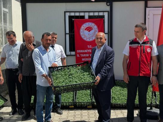 Bahçe’de çiftçilere 118 bin domates fidesi dağıtıldı