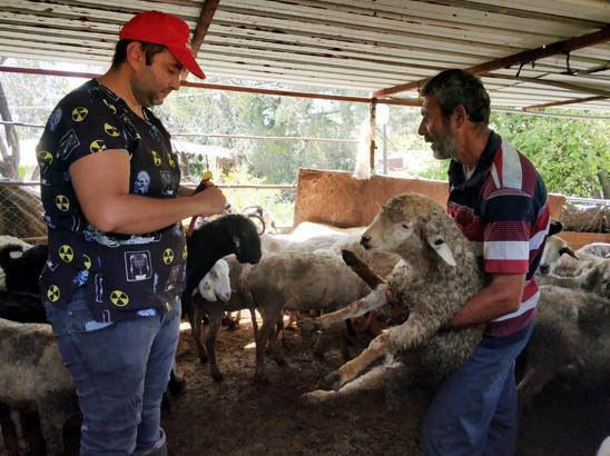 Yayla göçü öncesi aşı ve kimliklendirme çalışması