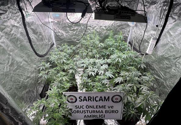 ‘Kasten yaralama’dan cezaevine girdi, evine ‘kenevir’ serası kurduğu ortaya çıktı