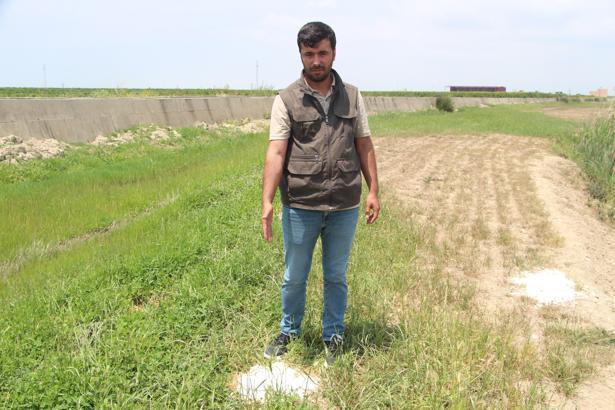 77 küçükbaş zehirlenerek öldü