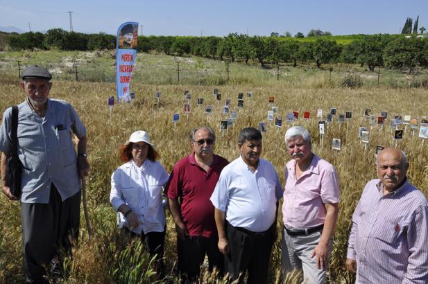 Mersin’de buğday tarlasına kitap