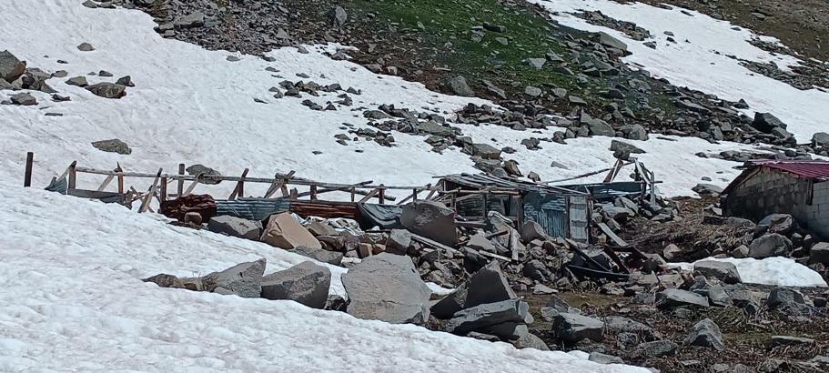 Verçenik Yaylası'nda çığ ve ayı tahribatı