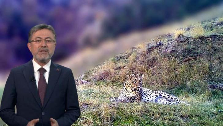 Bakan Yumaklı: Korunan alanlarımızı bilimsel stratejilerle artırıyoruz