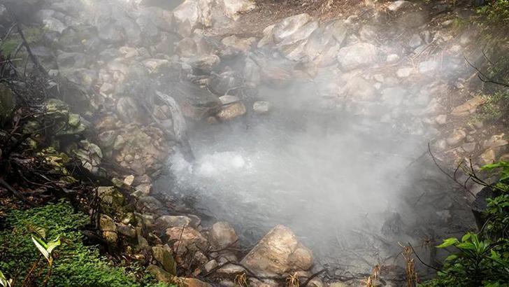 Araştırma: Yanardağlar patlamadan önce ağaçlar sinyal veriyor