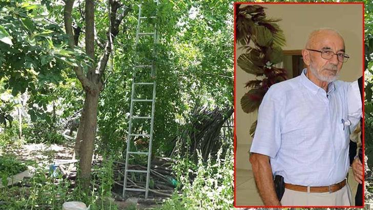 Kiraz ağacından düşüp öldü