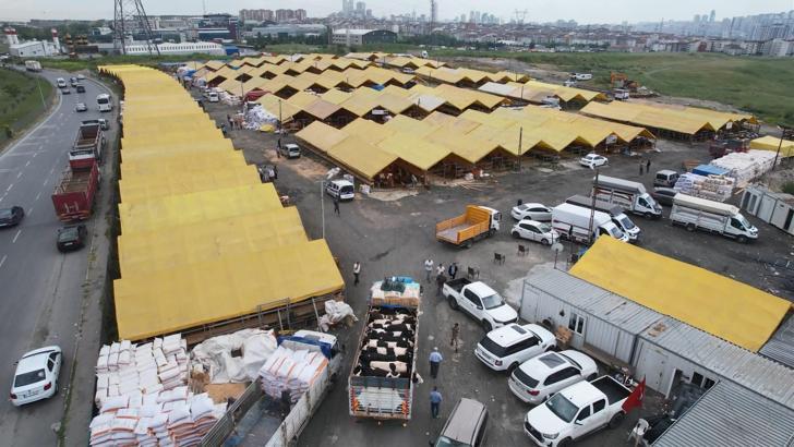 İstanbul- Kurbanlıklar İstanbul'a geldi; ilk satışlar yapıldı