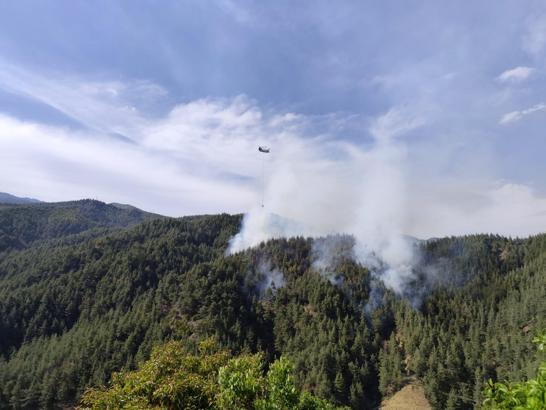 Kahramanmaraş’ta orman yangını