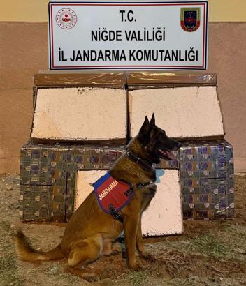 Yolcu otobüsünde 175 bin dolu makaron ele geçirildi