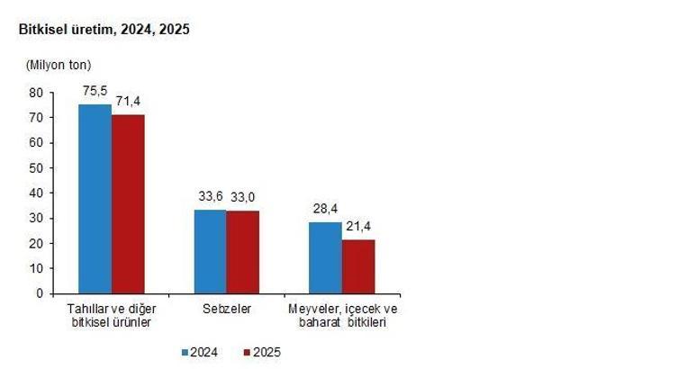 TÜİK: Bitkisel üretimde azalış tahmin edildi