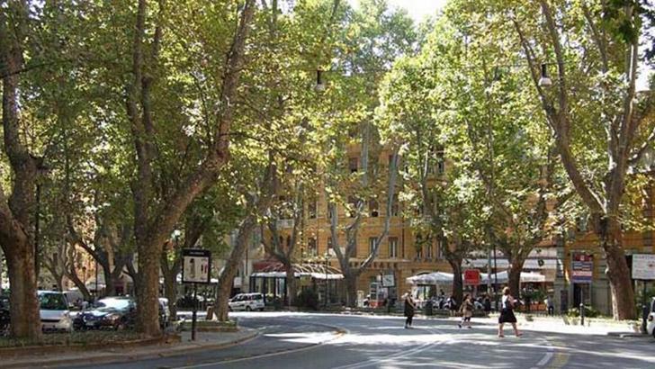 Roma’da Alman turist, tarihi eseri skuterle taşırken yakalandı