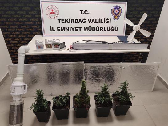Tekirdağ'da evlerinde uyuşturucu yetiştiren 2 şüpheli yakalandı