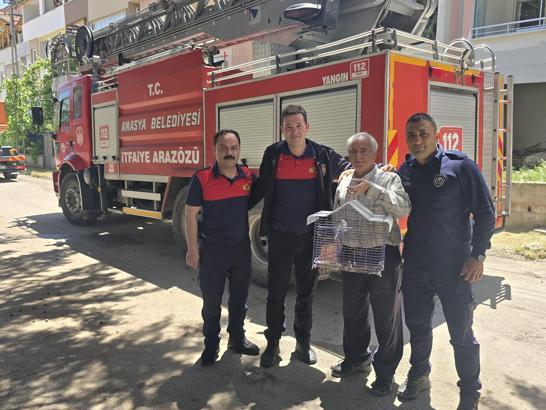 Kaçan muhabbet kuşunu yakalamak istedi, ağaçta mahsur kaldı