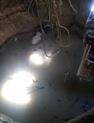 Ahırdan kaçan dana 10 metrelik su kuyusuna düştü