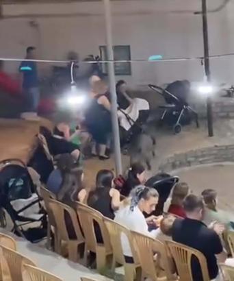 Düğündeki kalabalığın arasına giren domuz kamerada