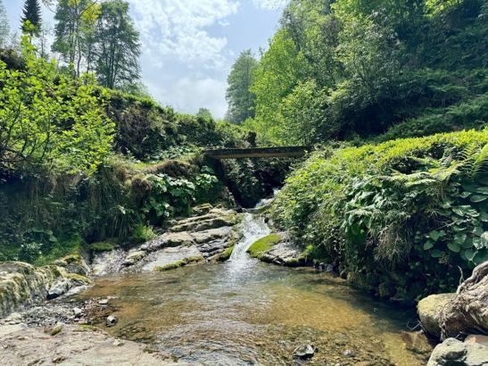 Rize'de rengi kırmızıya dönen derede inceleme / Ek fotoğraf
