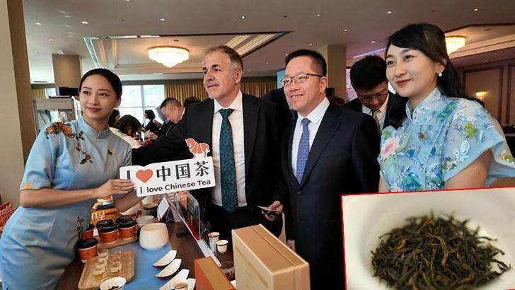 'Fujian' çayı İstanbul’da tanıtıldı