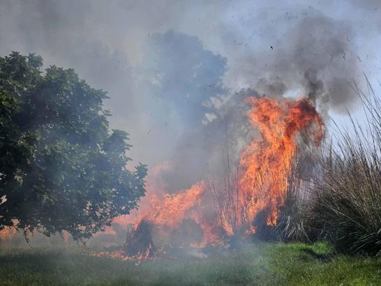 Çalılıkta çıkan yangına 1,5 saatlik müdahale
