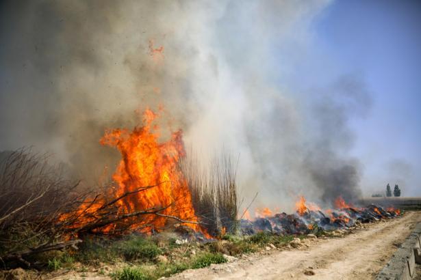 Çalılıkta çıkan yangına 1,5 saatlik müdahale/Ek fotoğraflar